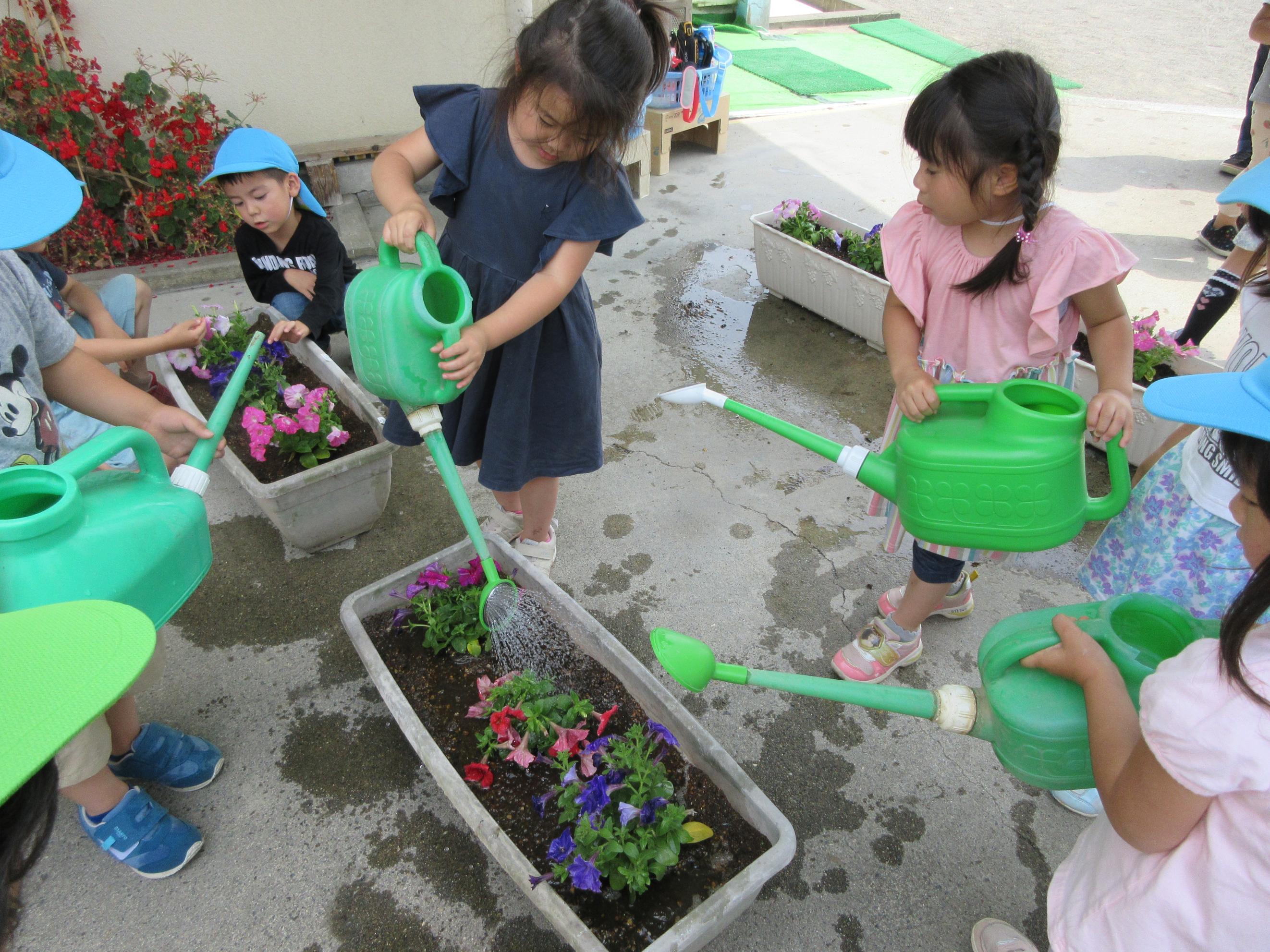 植えた花に水やりをしている子どもたちの写真です