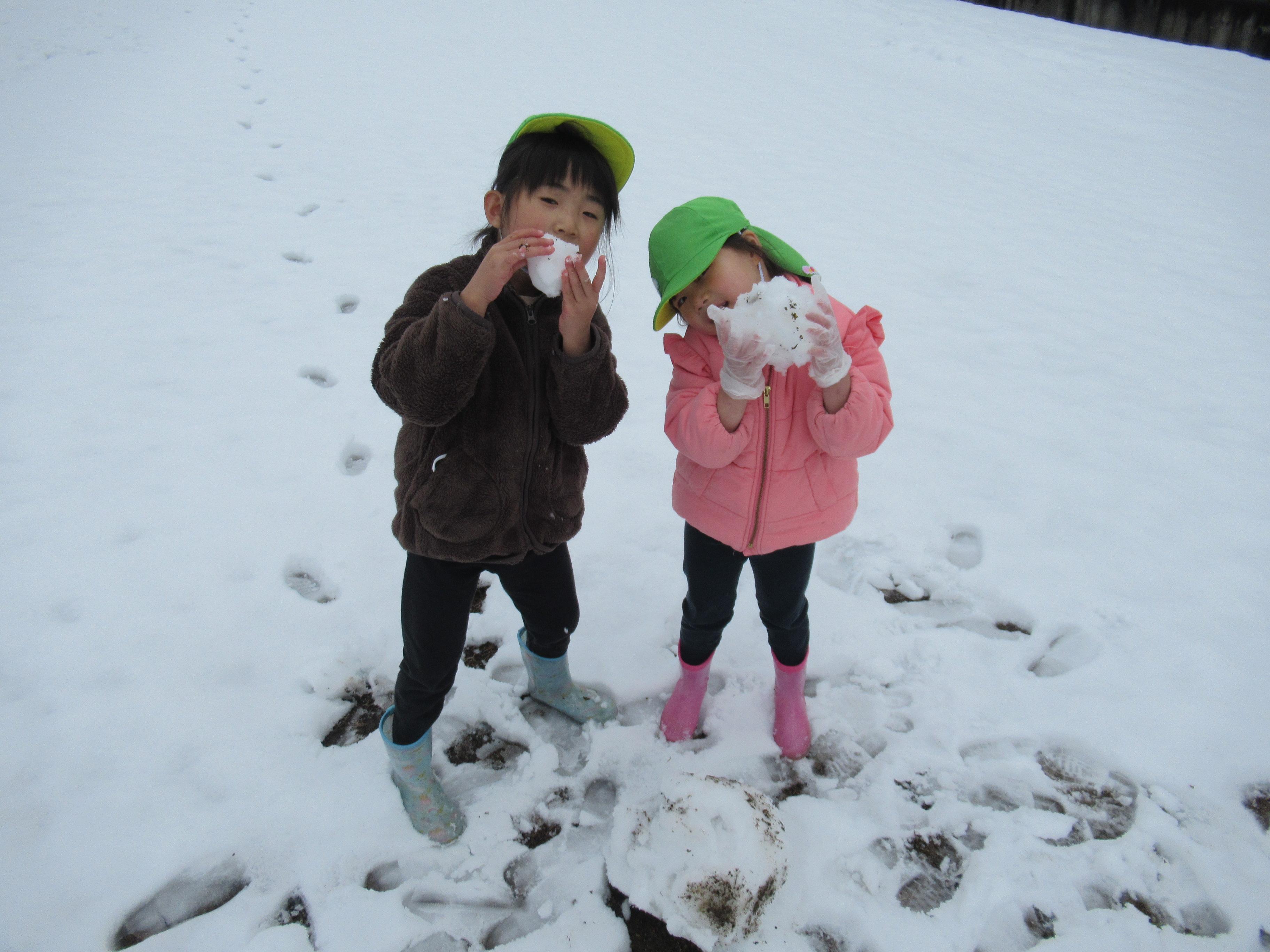 子どもが雪遊びをしている写真