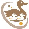 カルガモのイラスト カルガモのイラスト