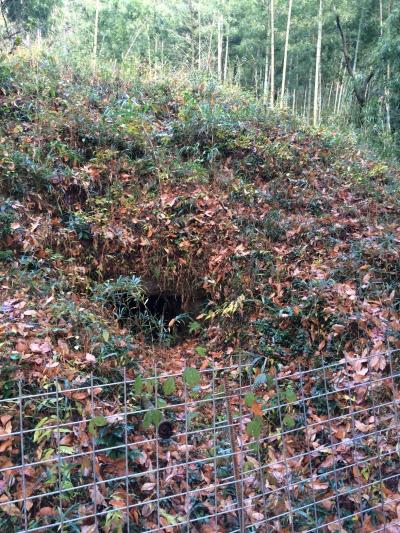 羽黒古墳の写真