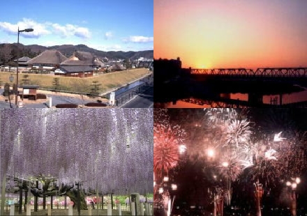 Four images. Building of Ashikaga Gakkou, Watarase River dyed in sunset, Wisteria at Ashika flower park and Fireworks.