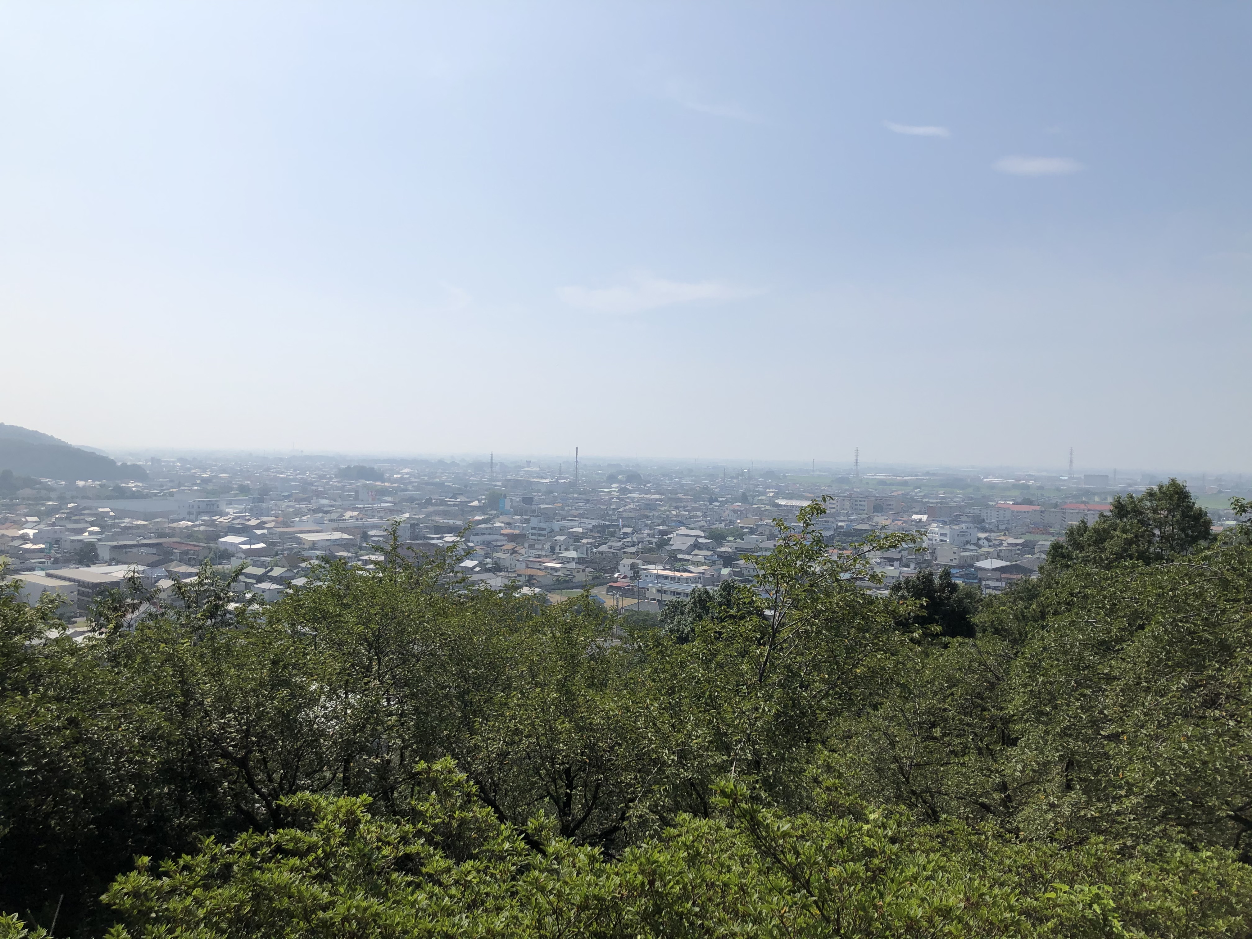 雷電神社からの景色の写真