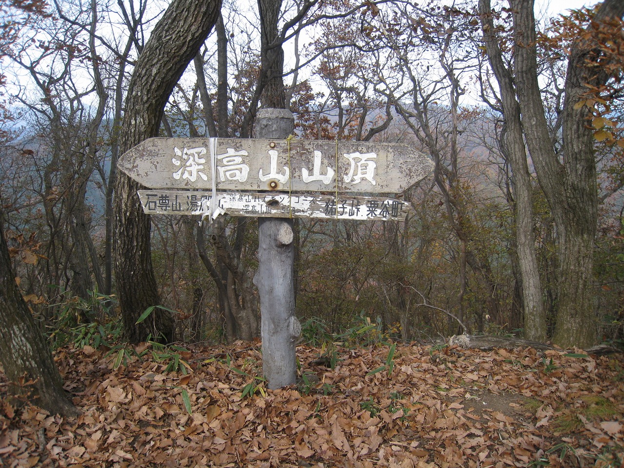 深高山山頂の写真