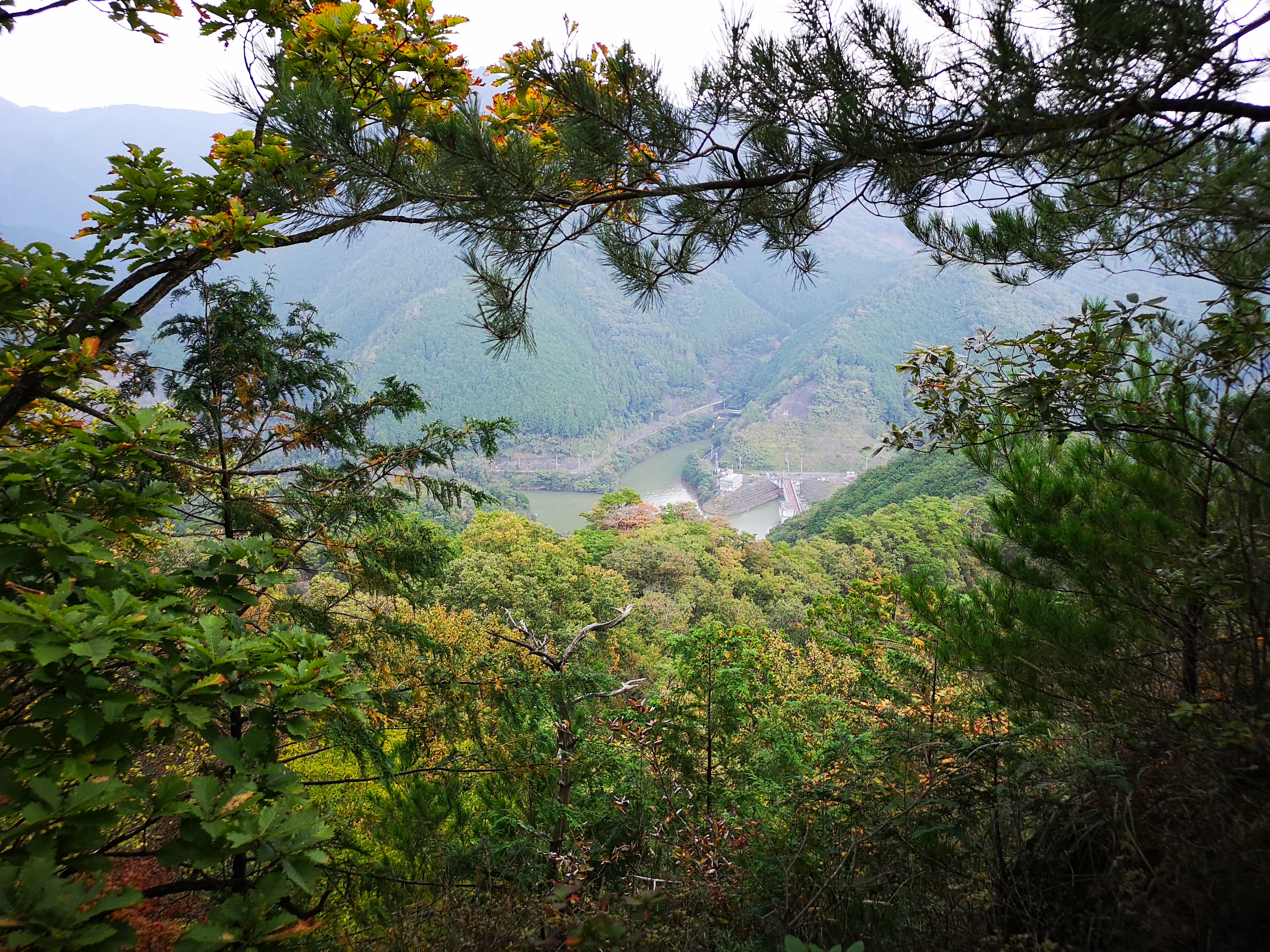 仙人ヶ岳からの松田川ダムの写真