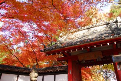 山川長林寺の紅葉の写真です。