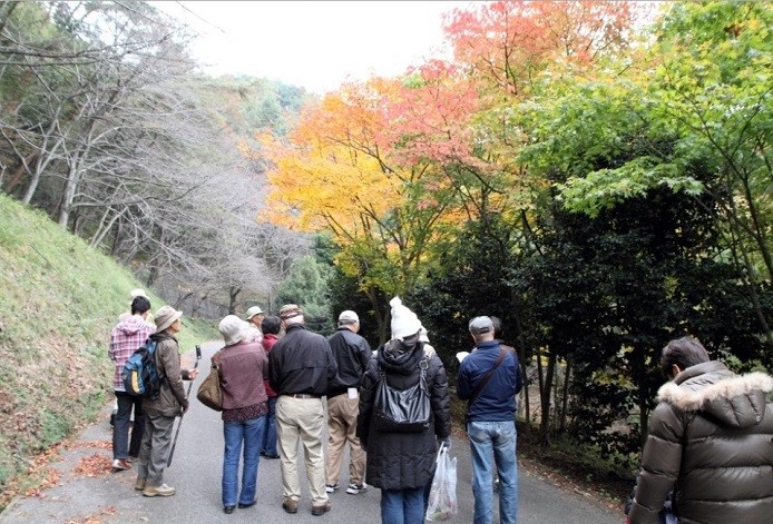 山前公園の写真2