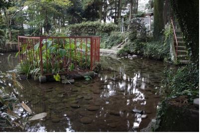 弘法の池の写真