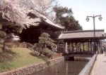 鑁阿寺の写真です。