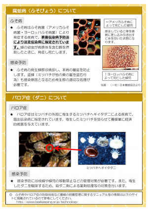 趣味でミツバチを飼育される方々へ（2）の画像