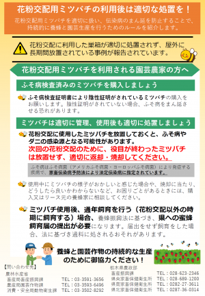 花粉交配用ミツバチの利用後は適切な処置を！の画像