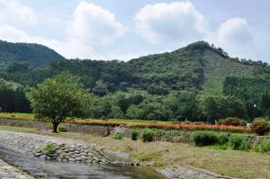 親水施設と里山の風景の写真