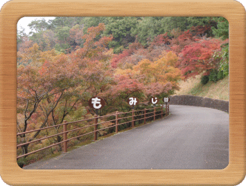 一定間隔で設置された『もみじ谷』の看板の写真