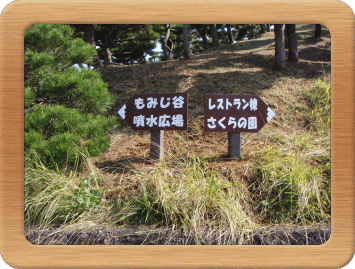 右向き矢印と、左向きの矢印の看板が並んでいる写真