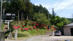 小俣上野田町自治会が清掃した神社の写真