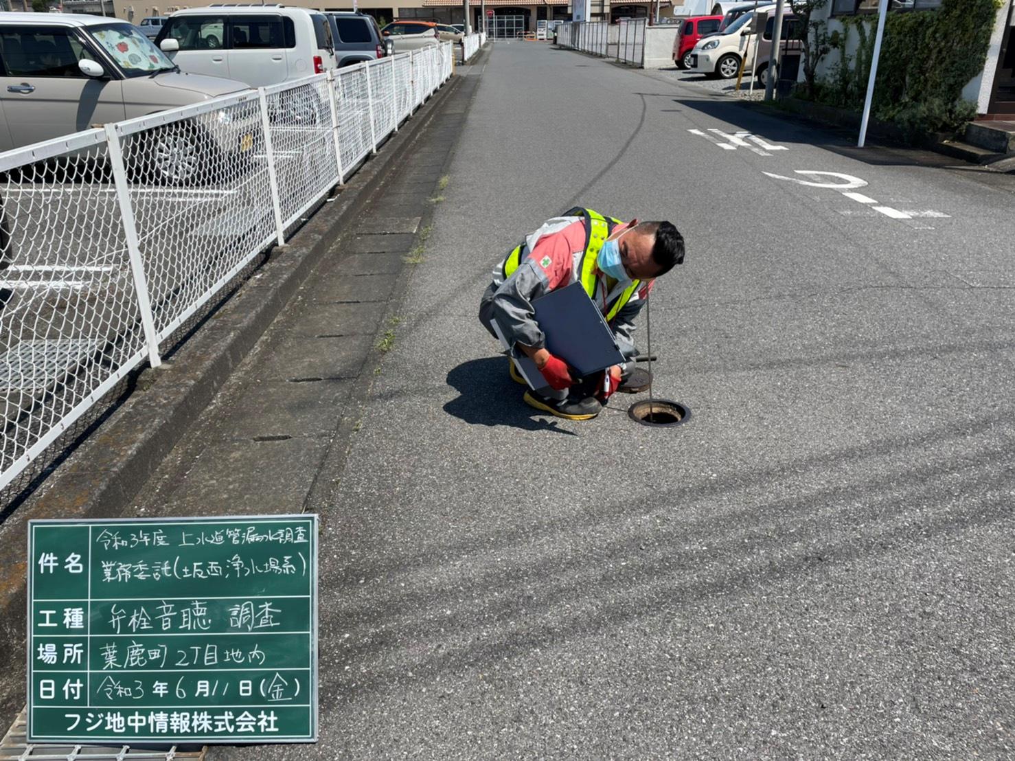 調査中の様子写真