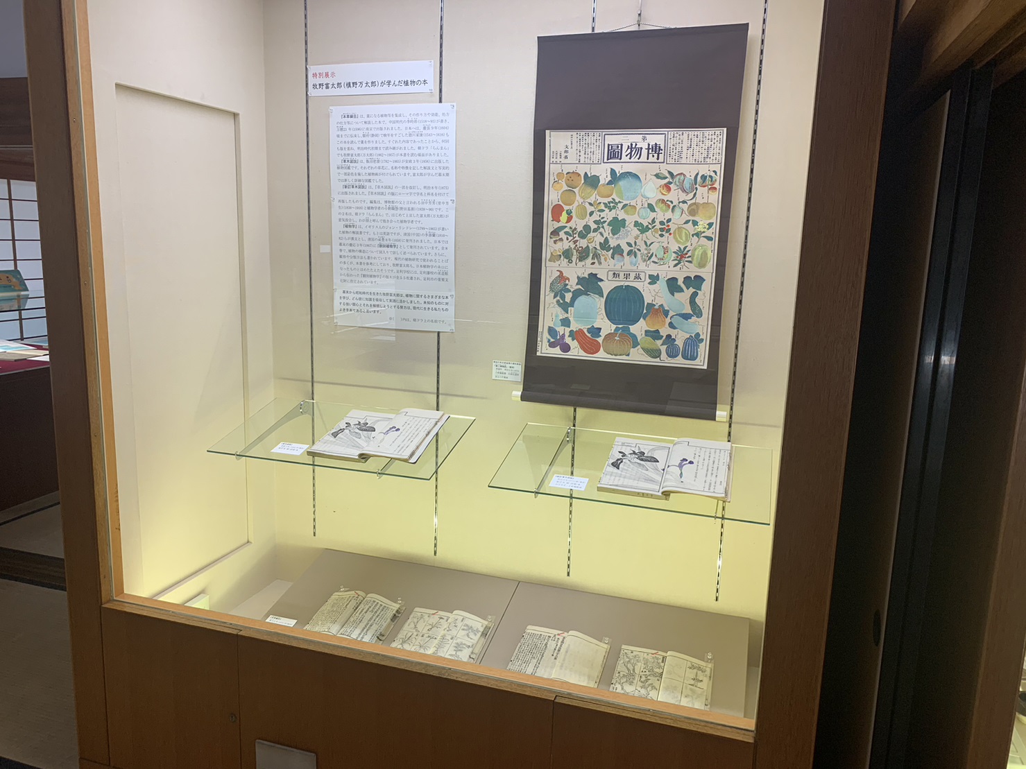 展示のようす