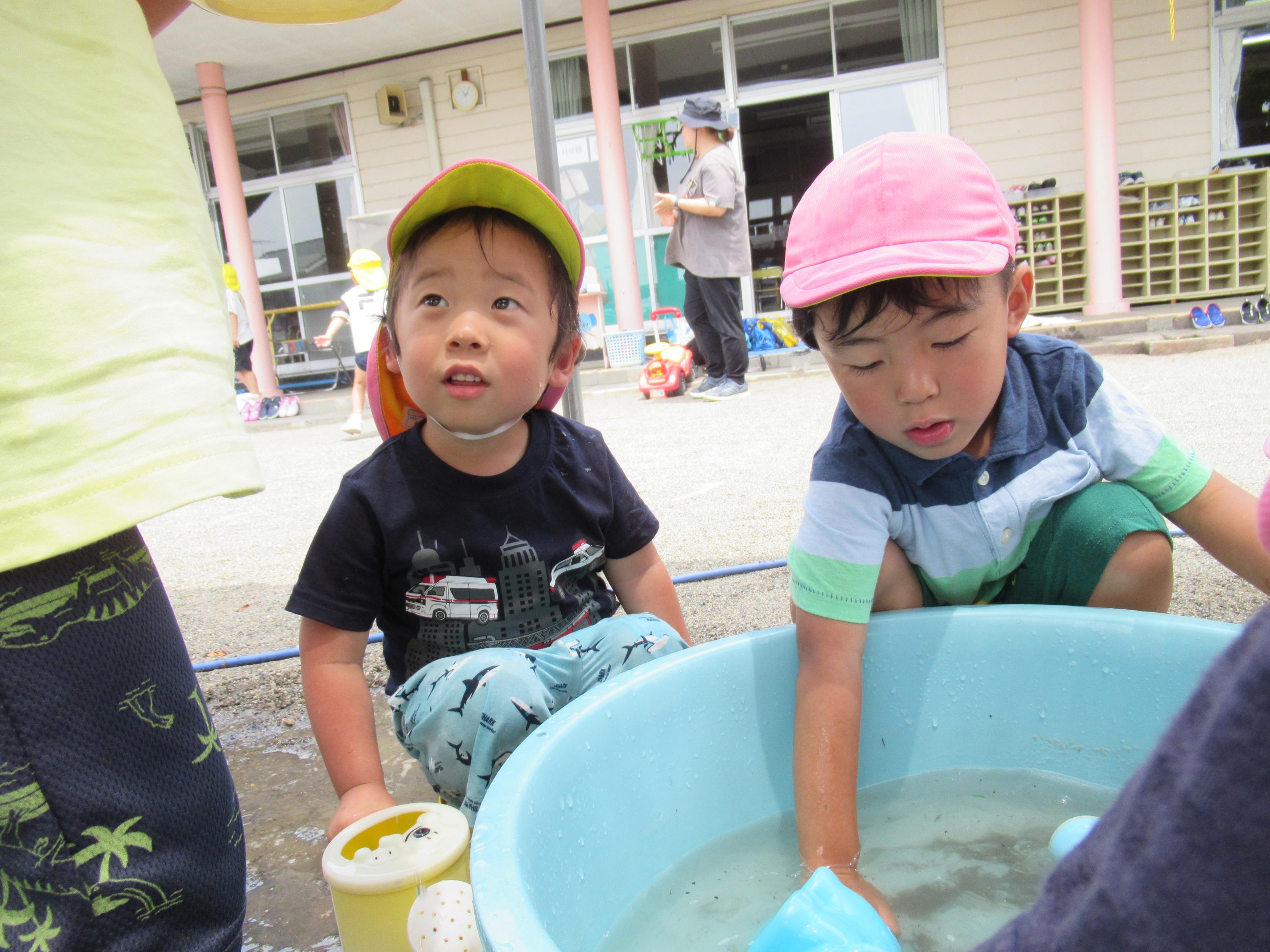 夏のあそび