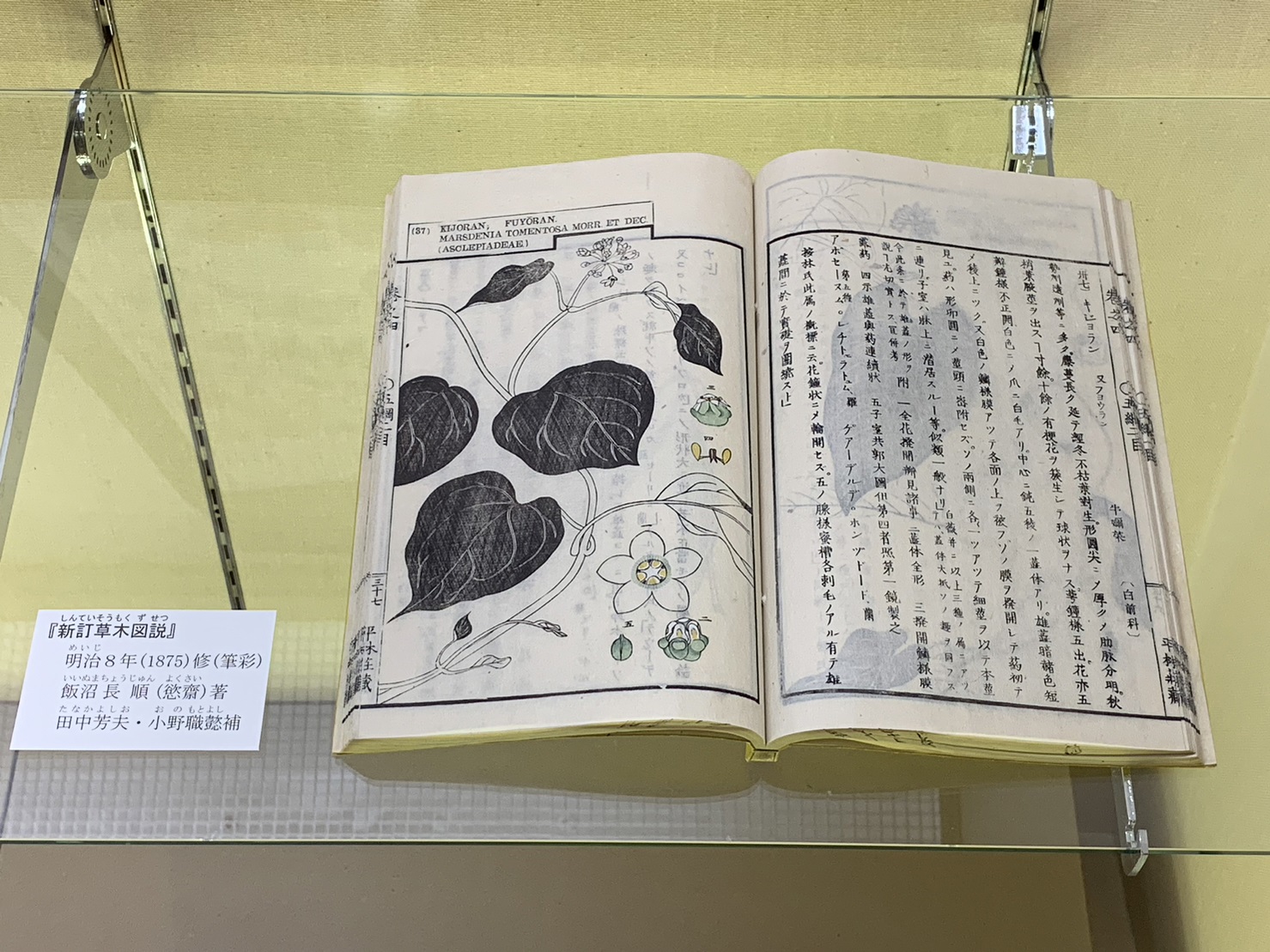 新訂草木図説