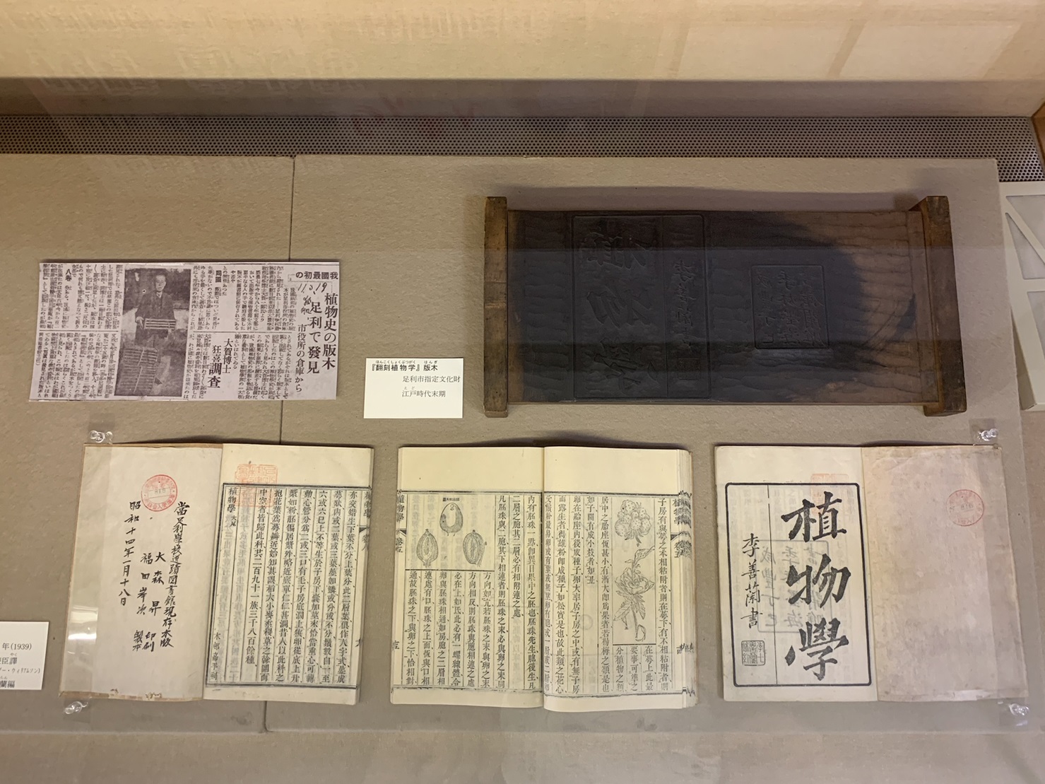 翻刻植物学と版木1