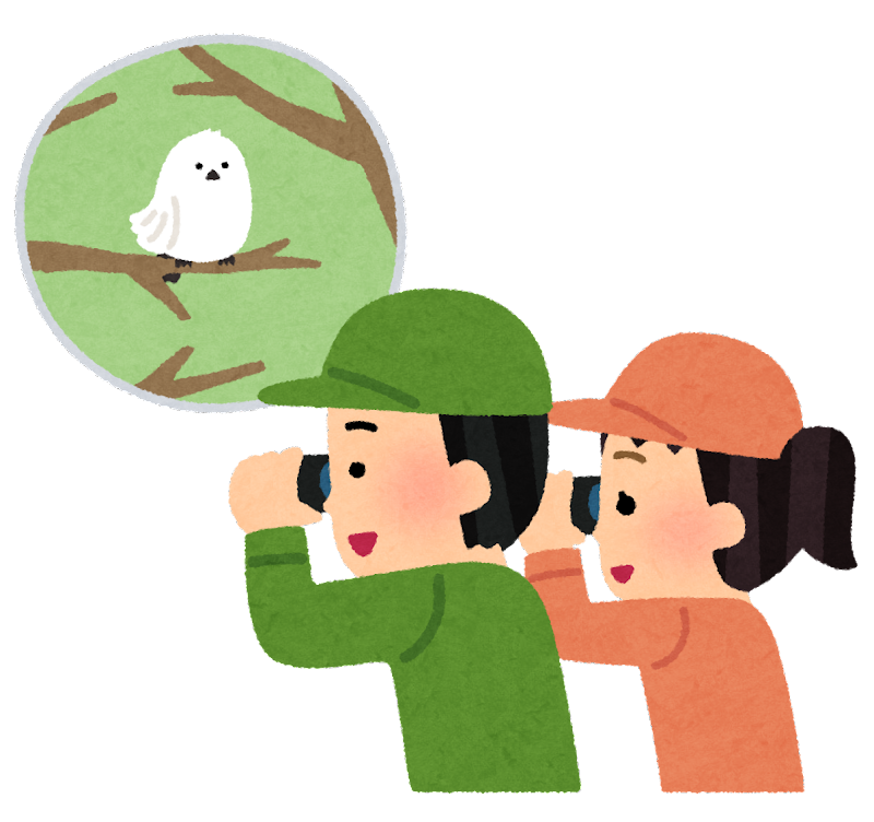 bird_watching