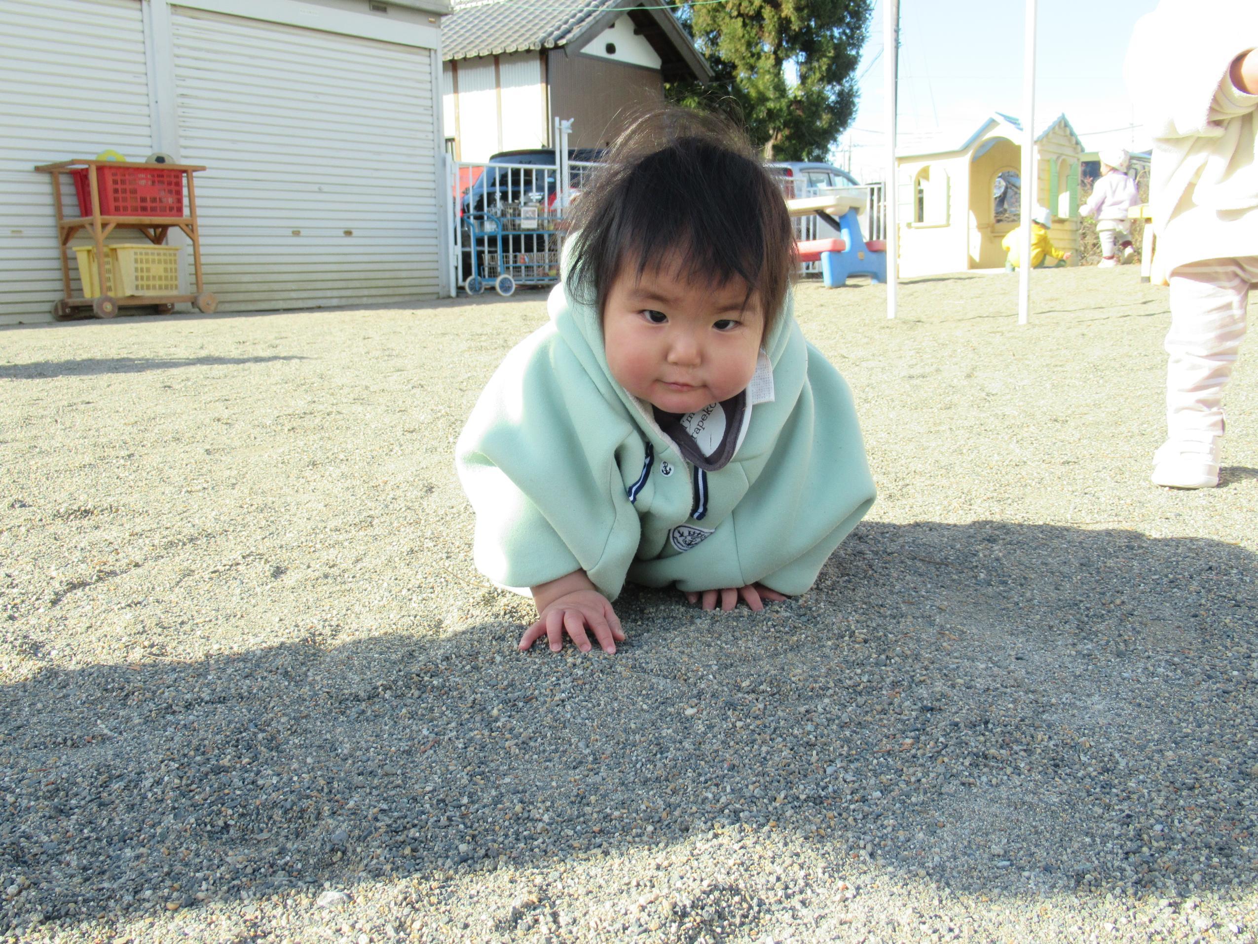 0歳児が遊んでいるところ2