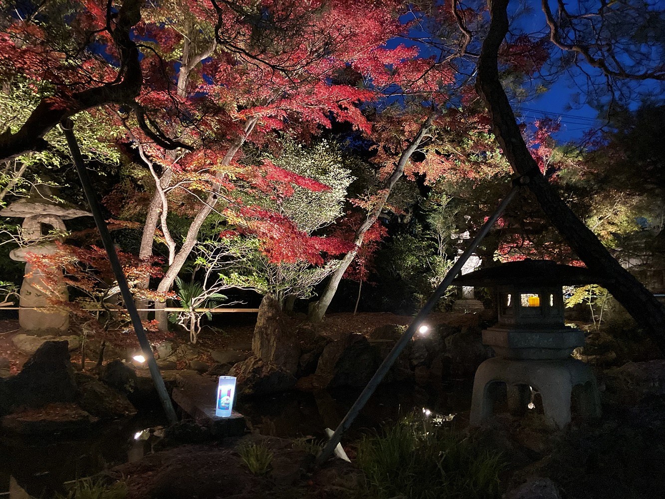 物外軒庭園の夜間ライトアップの写真