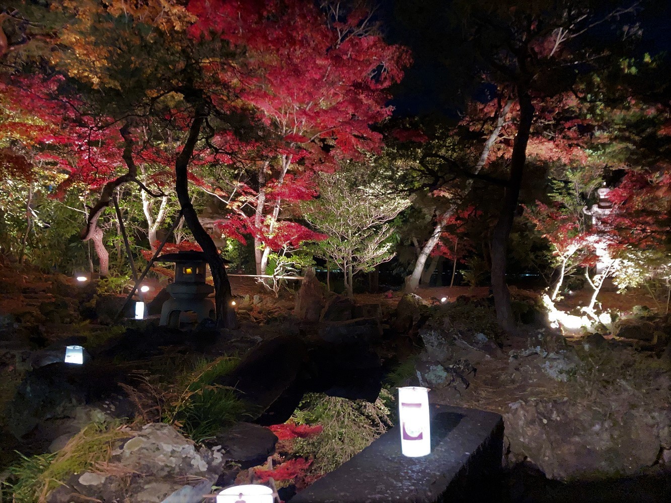 物外軒庭園の夜間ライトアップの写真
