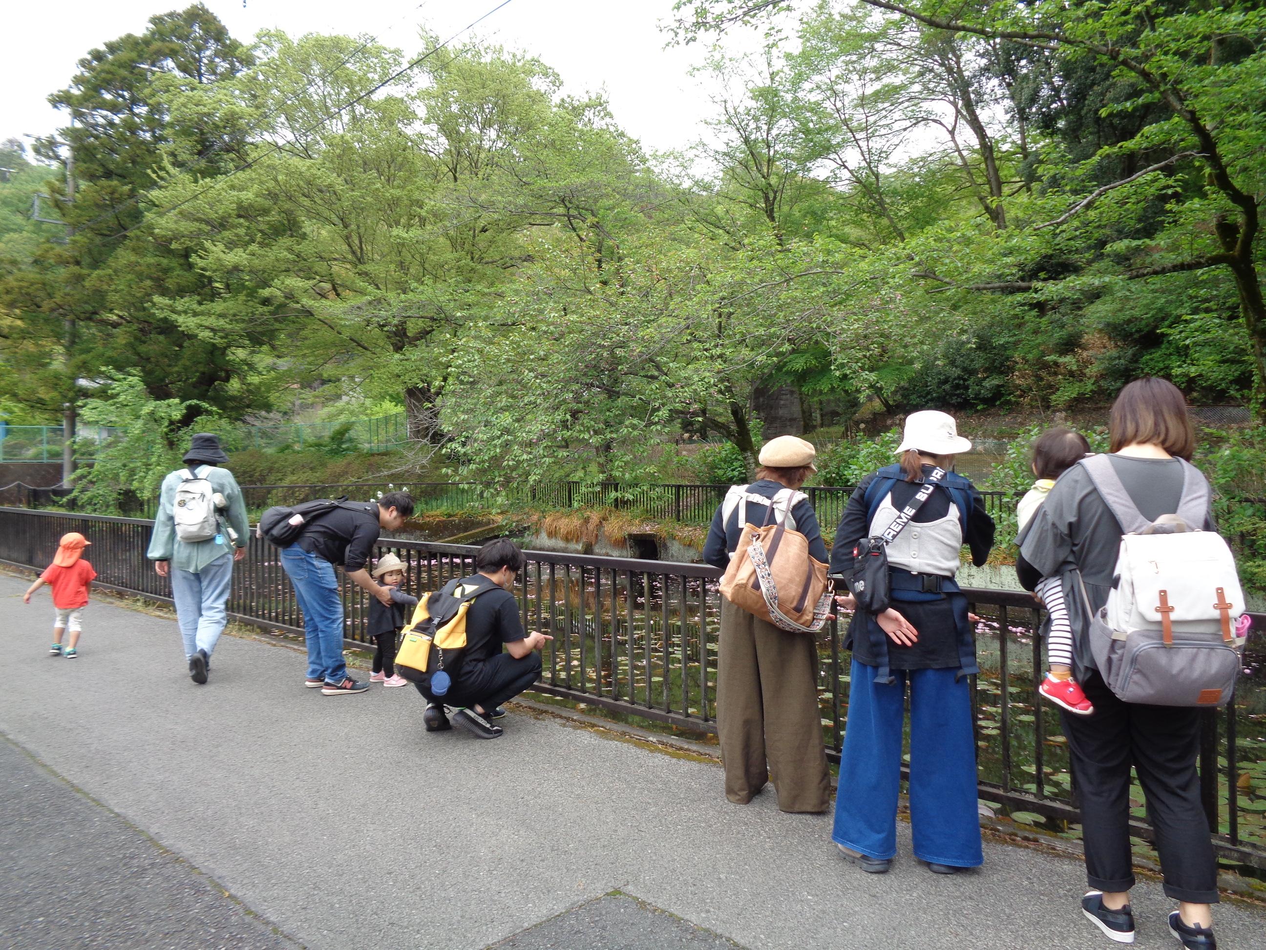 お堀をのぞき込んでいる親子の画像