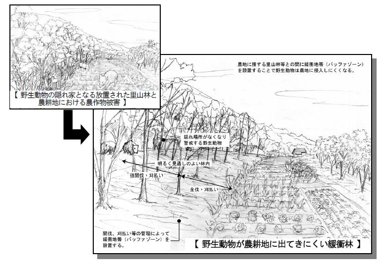里山林整備参考図