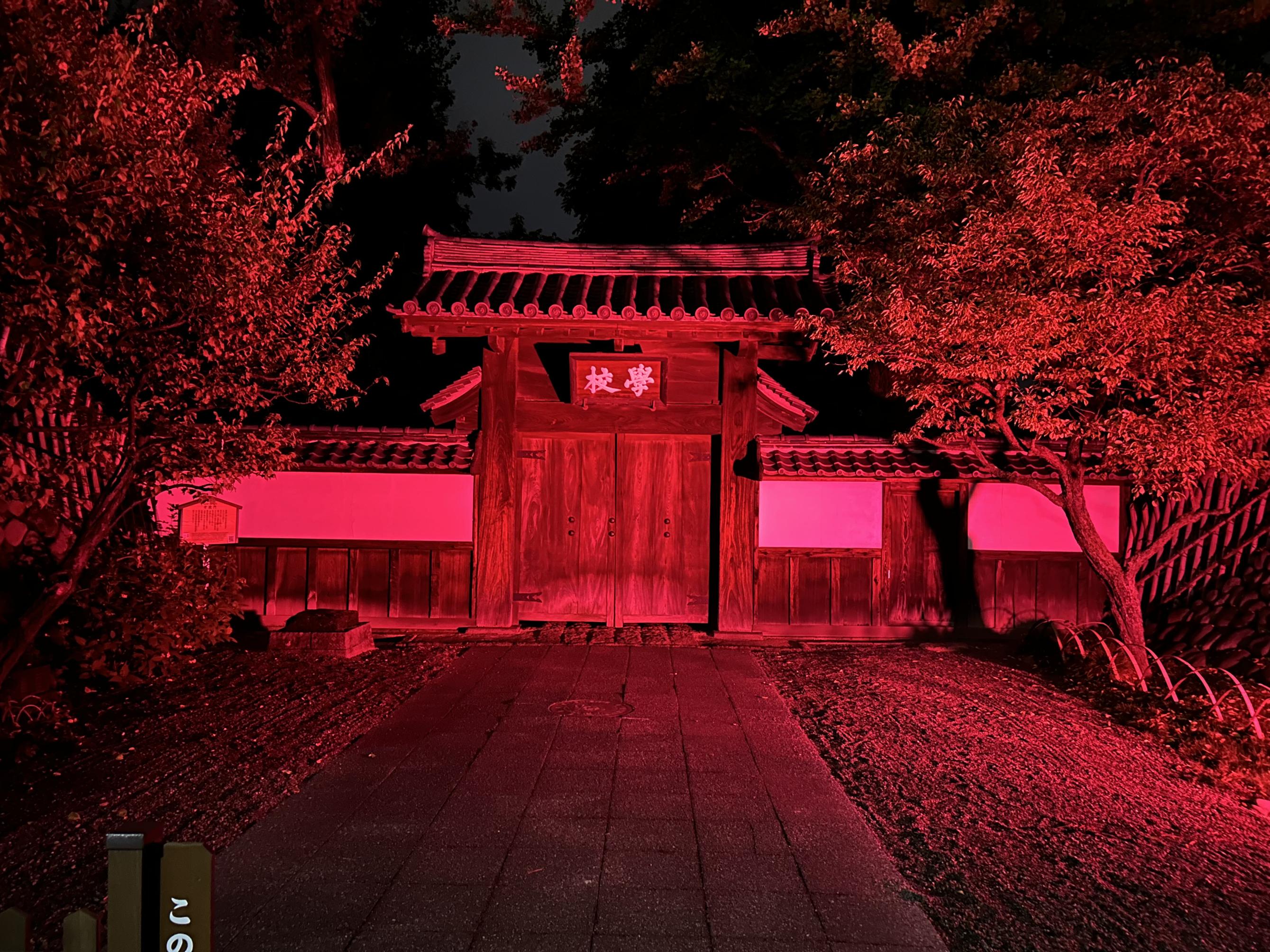 ライトアップされた学校門の写真