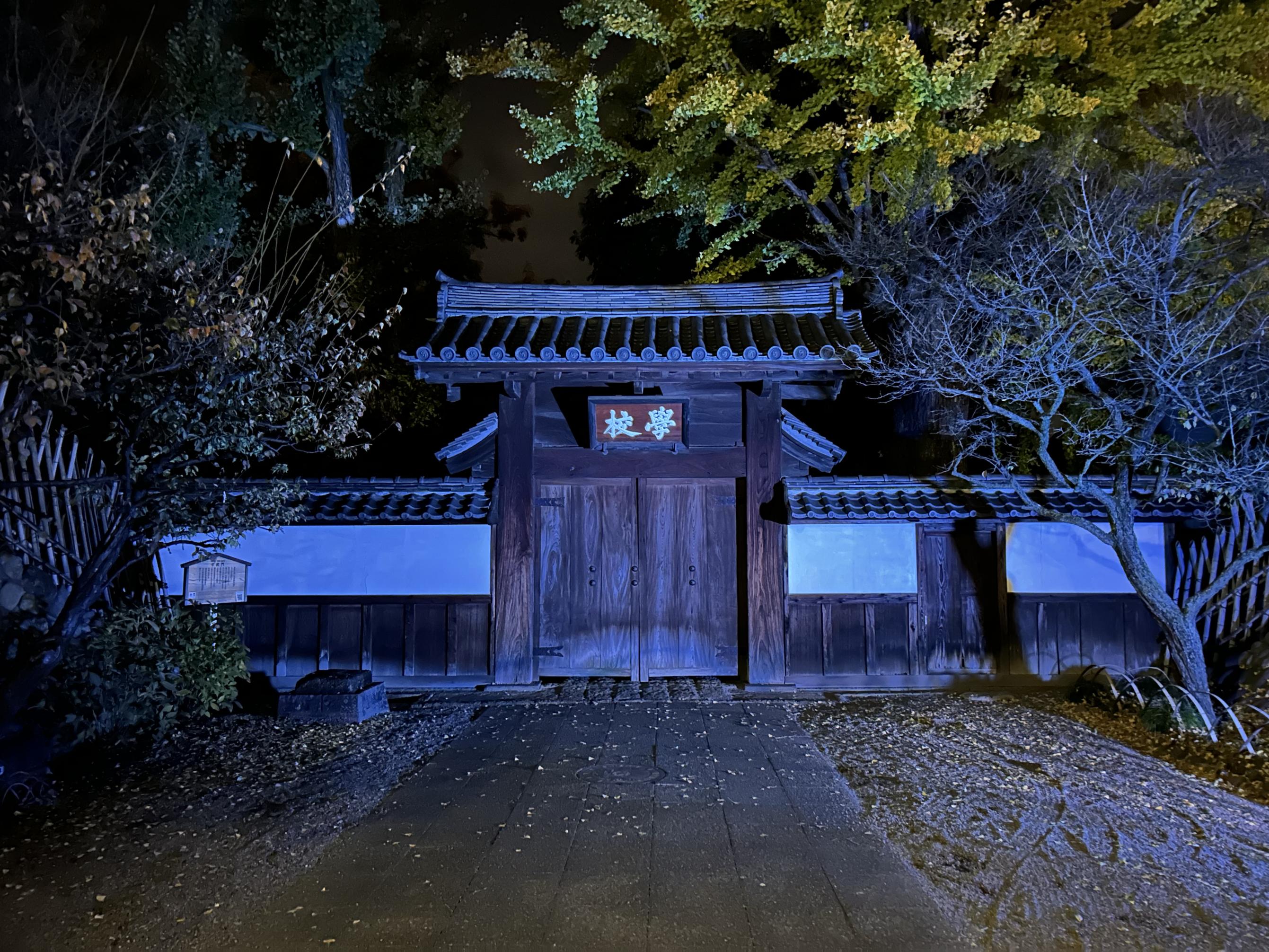 ライトアップされた学校門