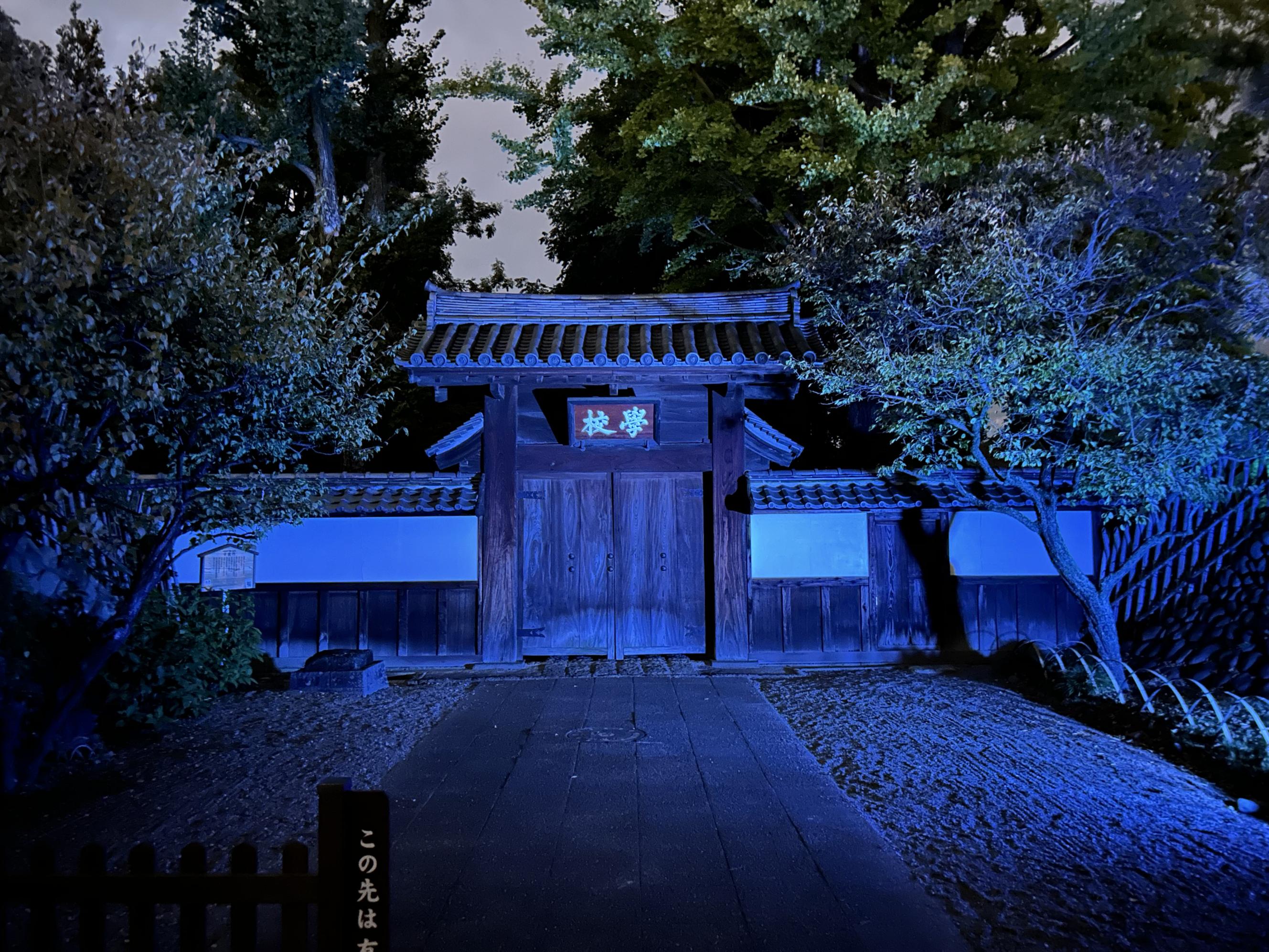 ライトアップされた学校門