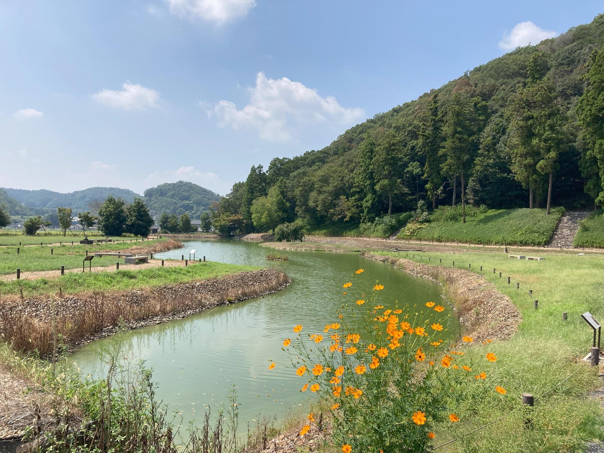 樺崎寺跡浄土庭園