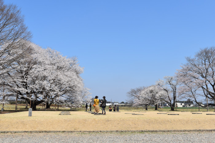 天平の丘(1)