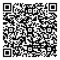 令和7年度 親子で楽しむ「バルーンショー」参加申込フォーム（足利市オンライン申請システム）