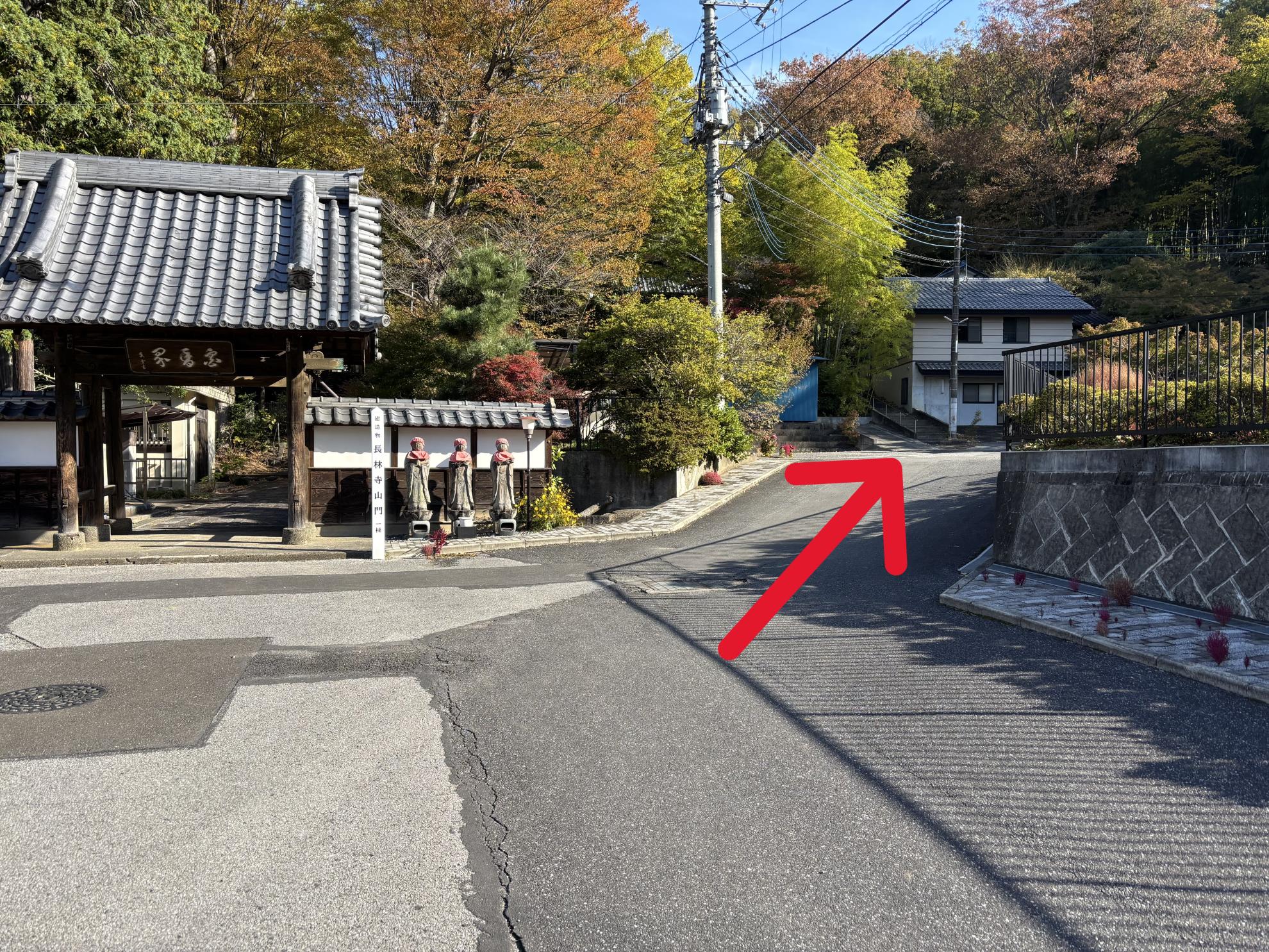 Image_20251120_165930_002 Image_20251120_165930_002