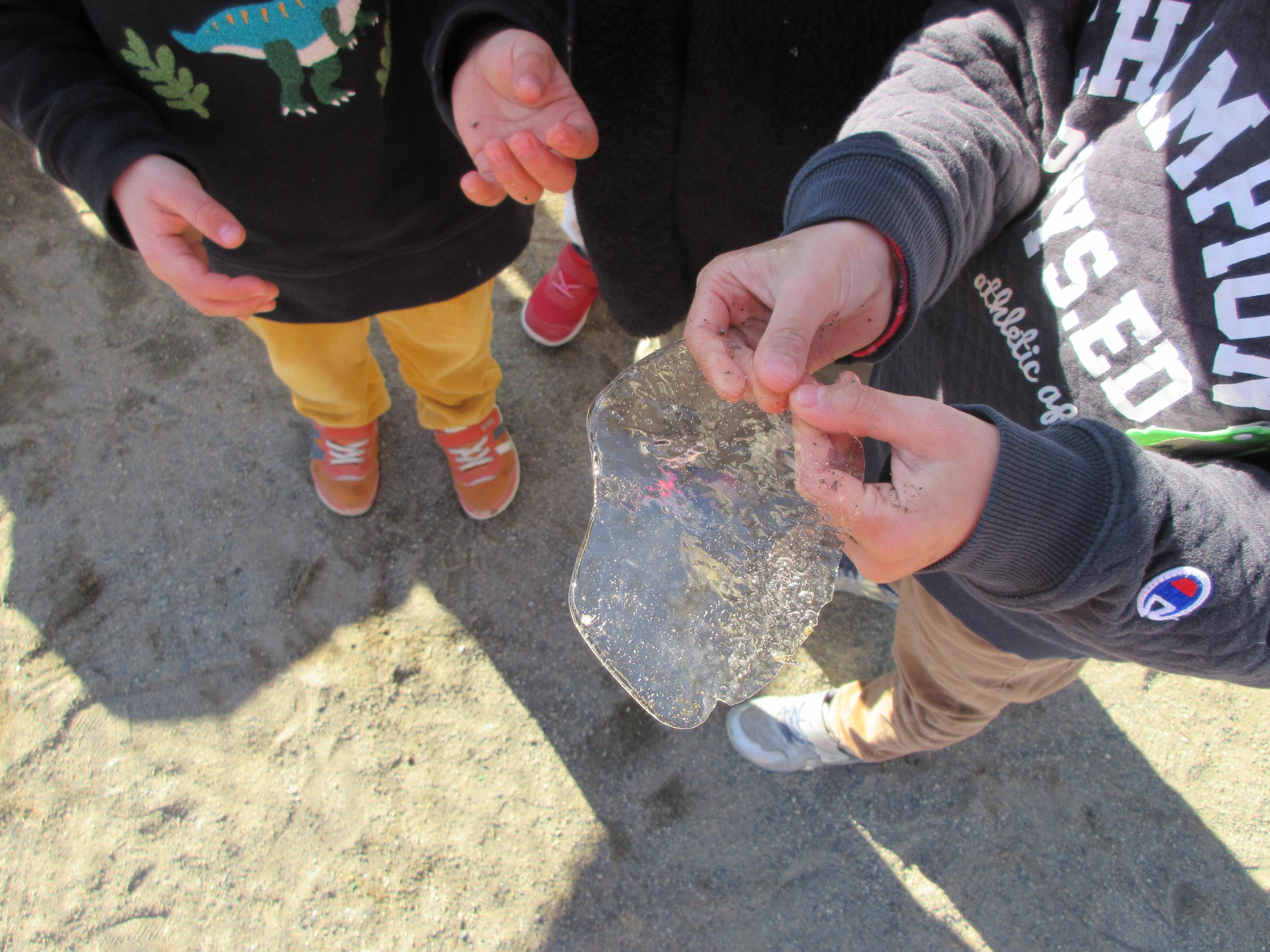 こおりにふれているしゃしんです