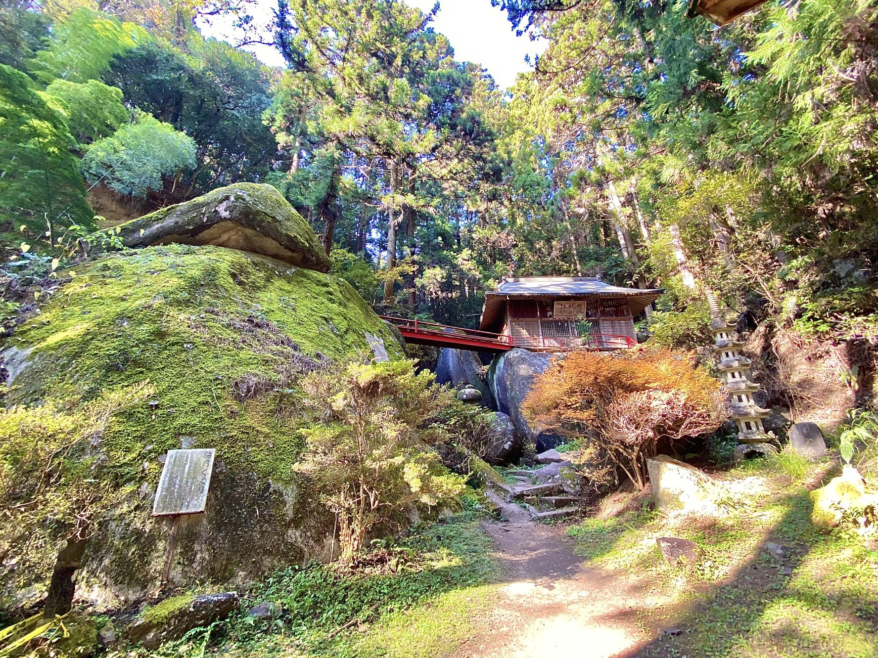 8FC826E5-5055-4325-8C60-57DB4B2C193B