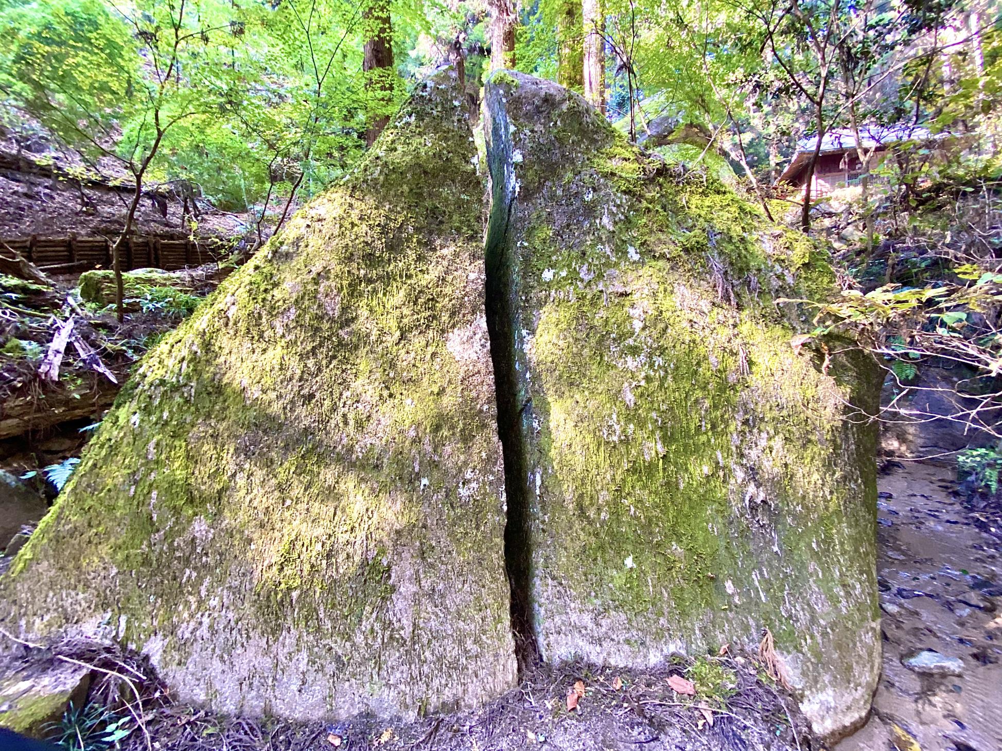 12E887E4-8F1C-4BBA-A1B1-92F79D4A19F8