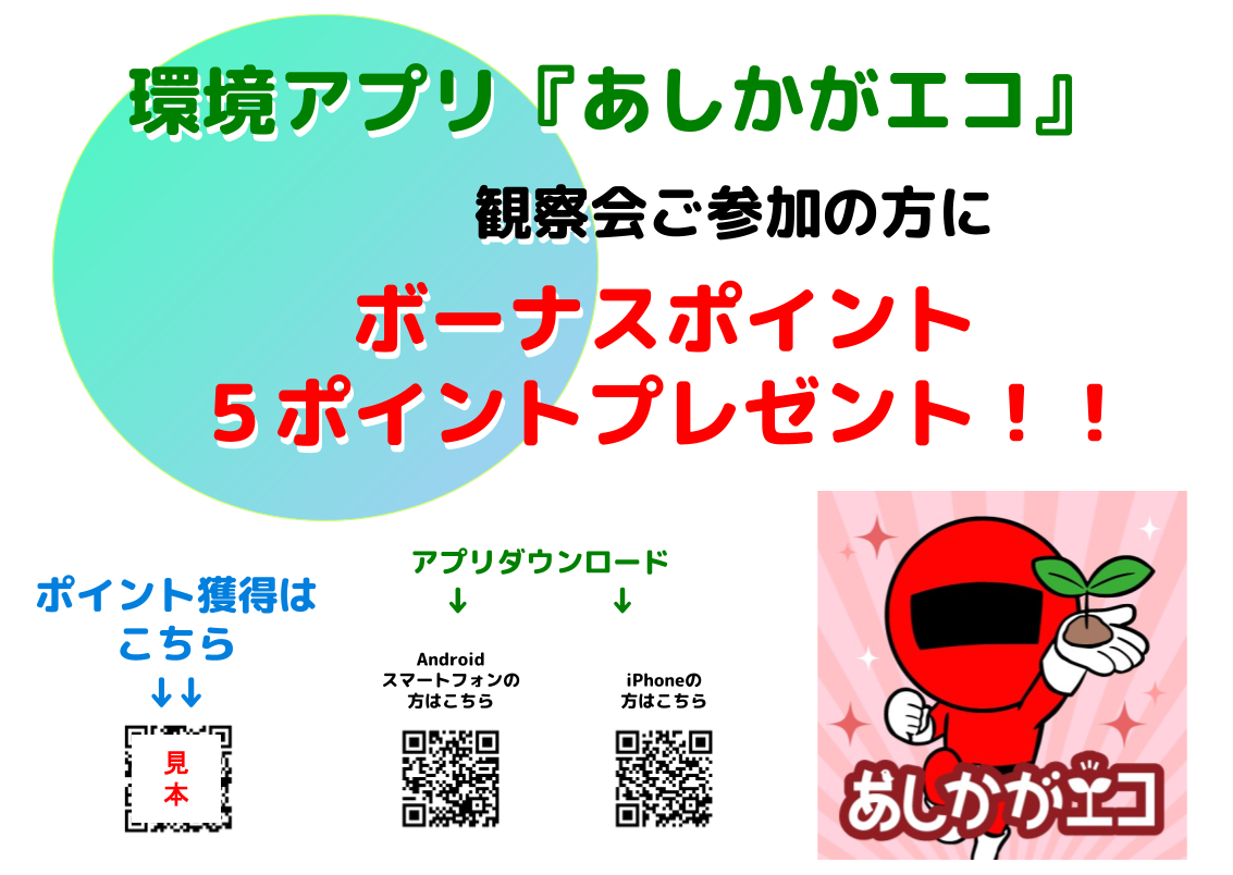 アプリボーナスポイント(観察会) アプリボーナスポイント(観察会)