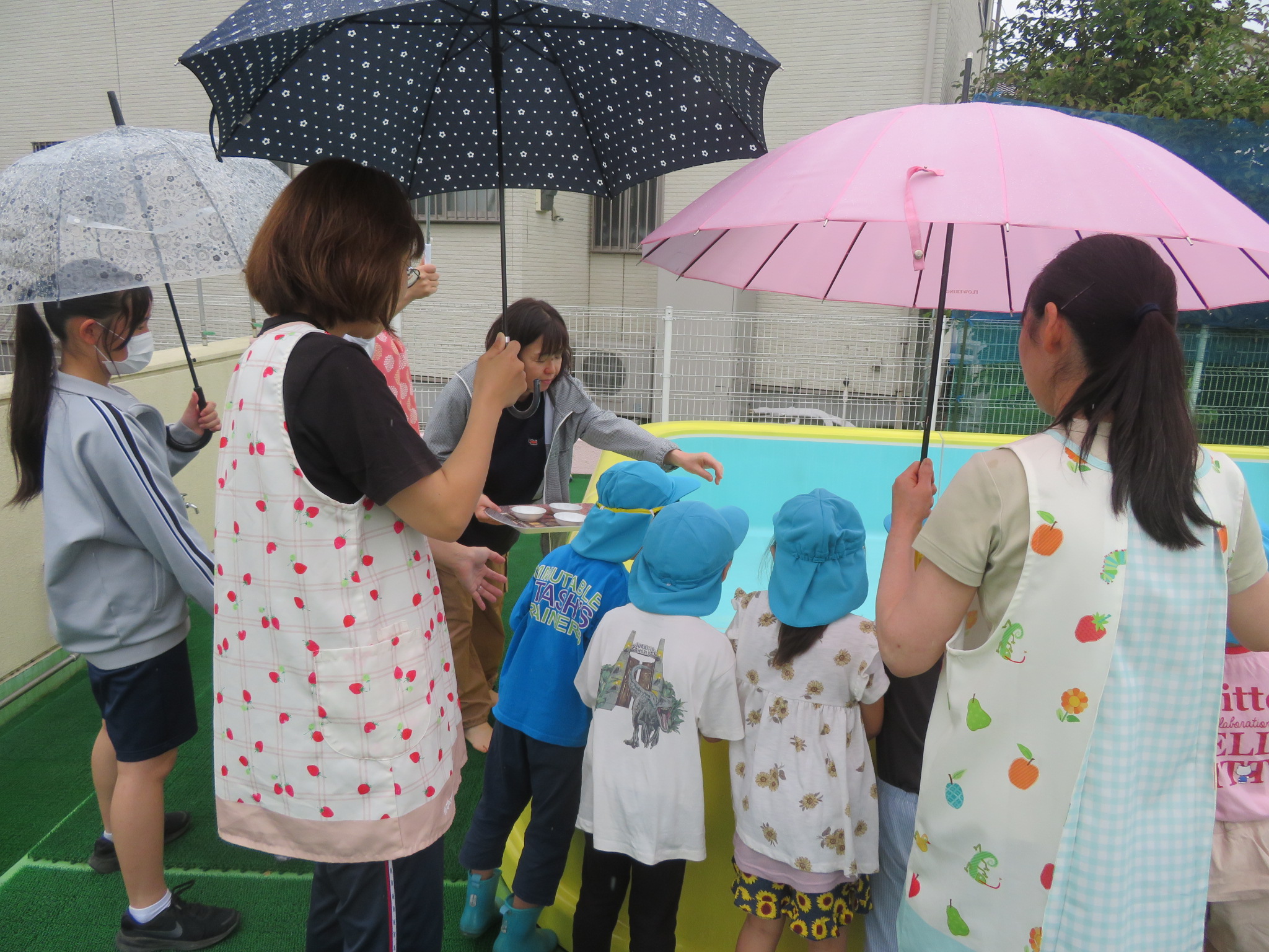 プール開きの様子の写真