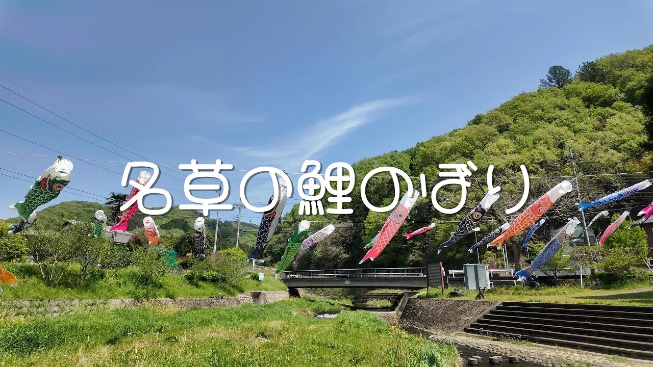 名草のこいのぼり