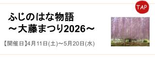 ふじのはな物語～大藤まつり2026～