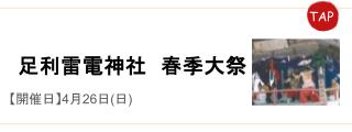 足利雷電神社春季大祭