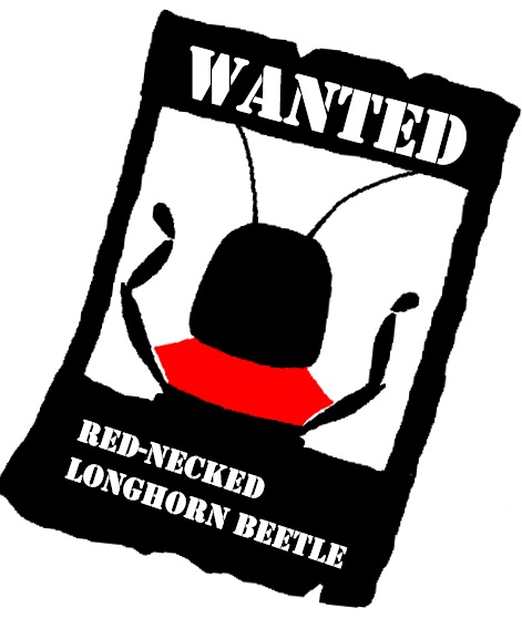 みっけ隊クビアカ