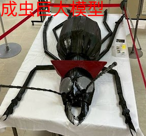 啓発巨大オブジェ