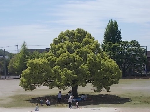 外遊びをしている写真です。 外遊びをしている写真です。