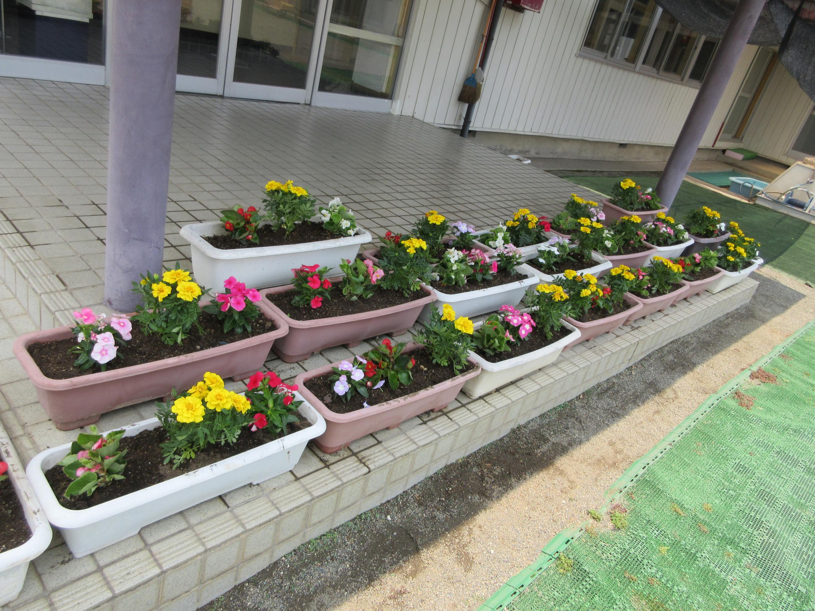 ふれあい花植え