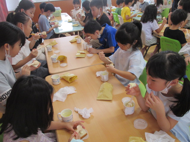 IMG_5378 IMG_5378