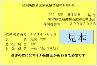 資格情報のお知らせ見本(色付き)